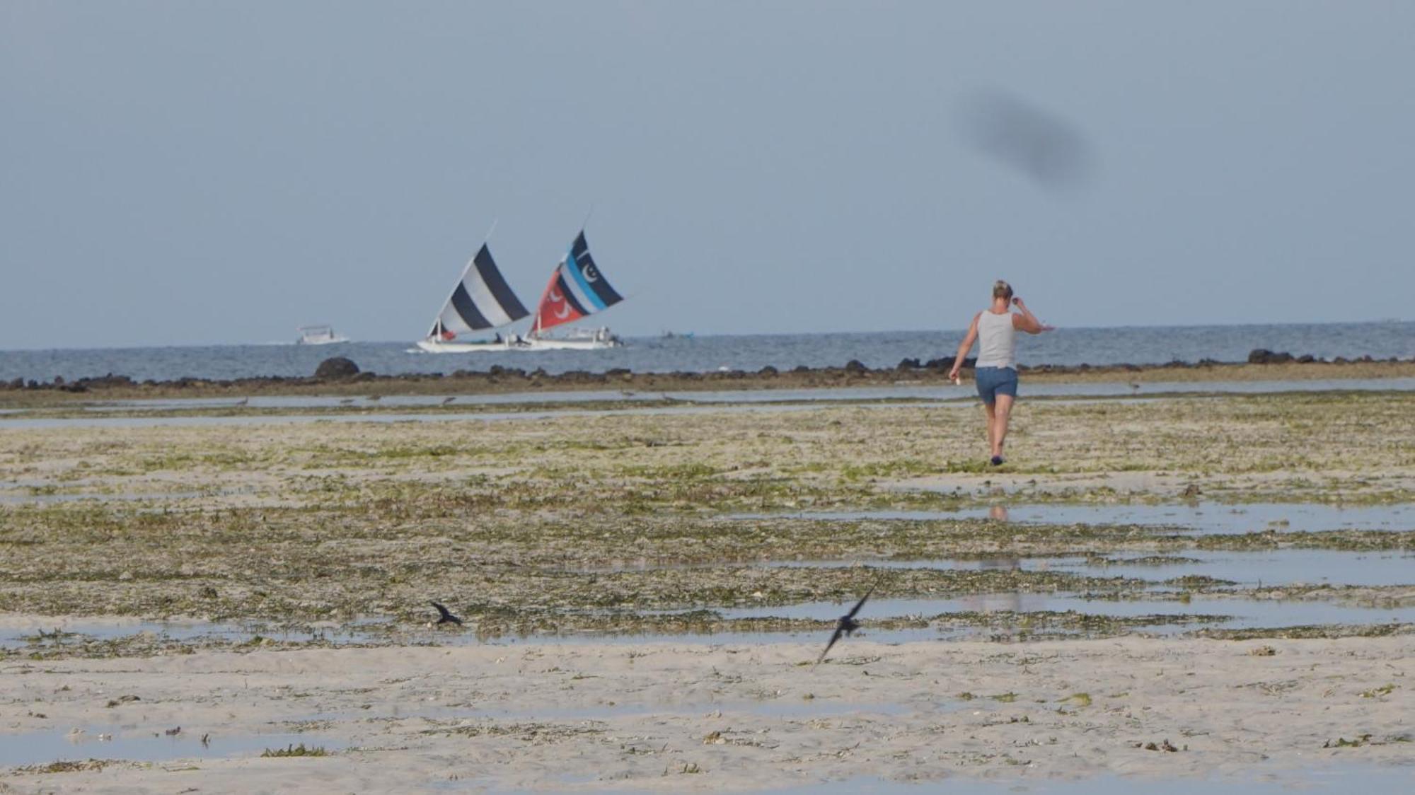 Mola2 Resort Gili Air Luaran gambar
