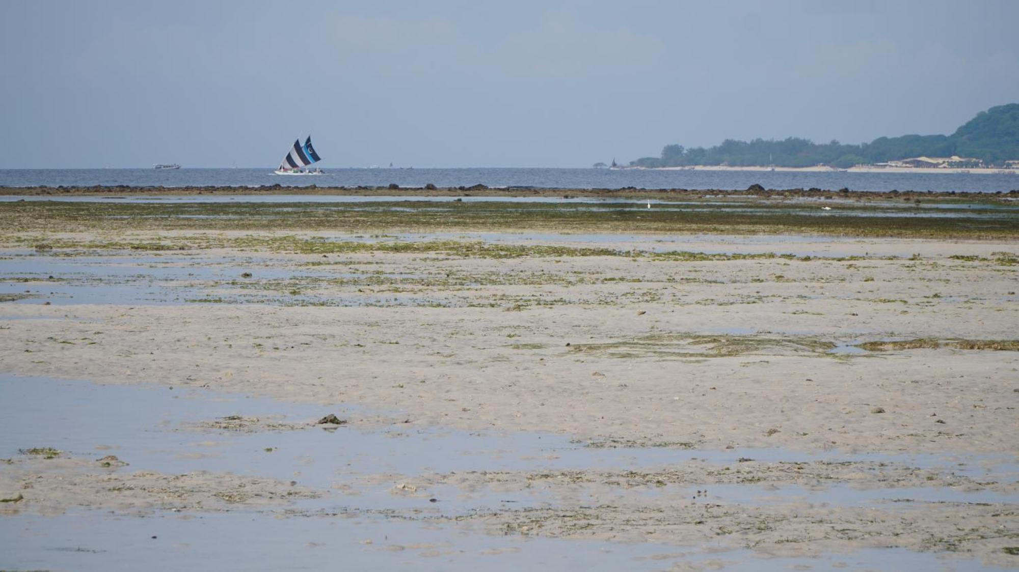 Mola2 Resort Gili Air Luaran gambar